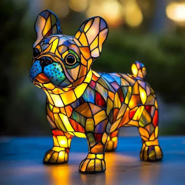 Ranskalainen Bulldog Shine